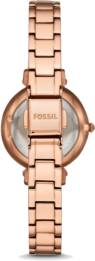 Es4447 fossil 2025