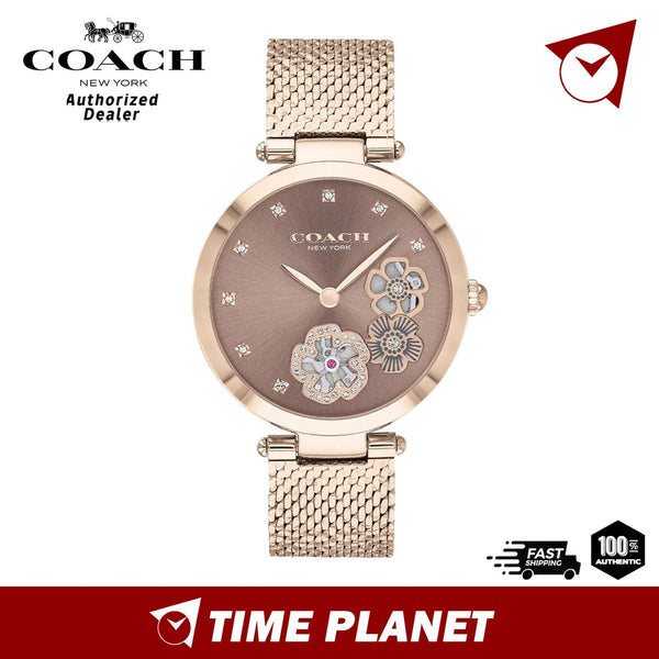 Coach 14503566